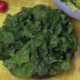 NOVEMBER IS SPINACH MONTH