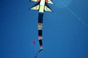 WHEN ITS KITE FLYING DAY YOU HOPE ITS WINDY