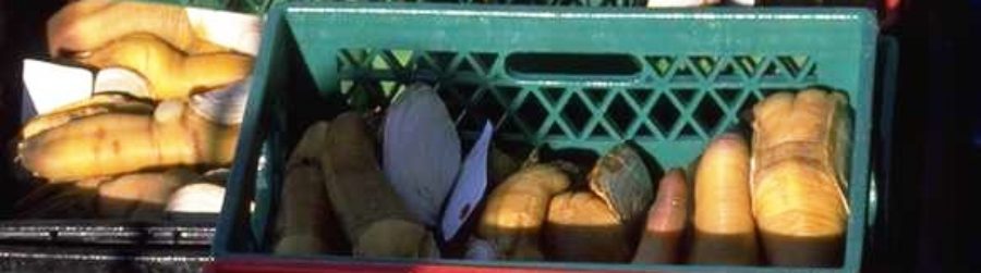 NOVEMBER IS SWEET POTATO AWARENESS MONTH