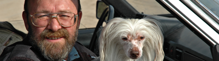 EVERYTHING COOL IT’S ADOPT A SENIOR PET MONTH FOR NOVEMBER