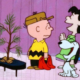 EVERYTHING COOL CHARLES SCHULTZ WAS BORN TODAY