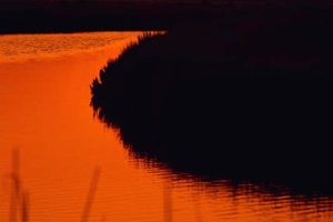 EVERYTHING COOL IT’S NATIONAL COLOR THE WORLD ORANGE DAY