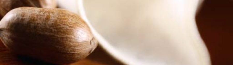 NOVEMBER IS NATIONAL GEORGIA PECAN MONTH