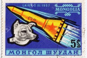EVERYTHING COOL NOV 3, 1957 SPUTNIK 2 LAUNCHED INTO ORBIT WITH A DOG NAMED LAIKA