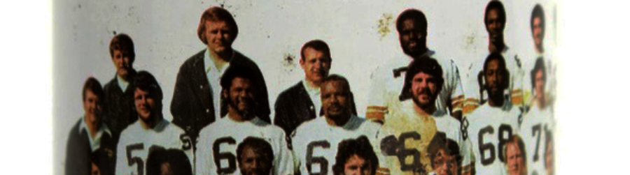 PITTSBURGH STEELERS BEAT THE MINNESOTA VIKING IN SUPERBOWL IX