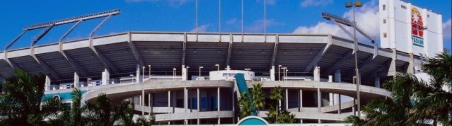 49ERS FANS THOUGHT EVERYTHING WAS COOL ABOUT SUPERBOWL XXIX IN MIAMI