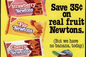 EVERYTHING IS COOL WHEN ITS NATIONAL FIGNEWTON DAY