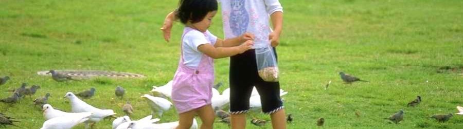 FEBRUARY IS NATIONAL BIRD FEEDING MONTH
