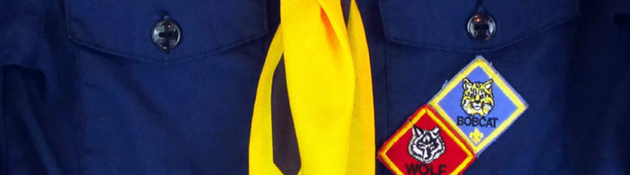 NATIONAL BOY SCOUTS DAY