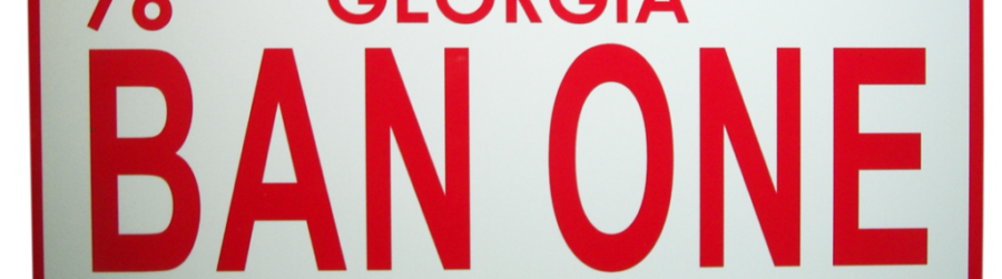 THE US STATE OF GEORGIA