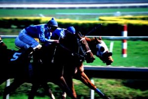 EVERYTHING IS COOL ABOUT HORSE RACING HISTORY TODAY