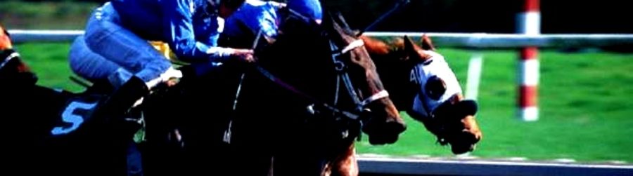 EVERYTHING IS COOL ABOUT HORSE RACING HISTORY TODAY