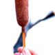 EVERYTHING COOL ABOUT NATIONAL CORN DOG DAY