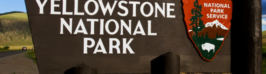 YELLOW STONE NATIONAL PARK