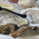 TODAY IS NATIONAL OYSTER DAY, SO GET SHUCKING.