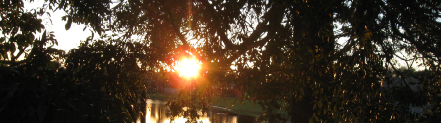 NATURE PHOTOGRAPHY DAY…SNAP SOME PICS