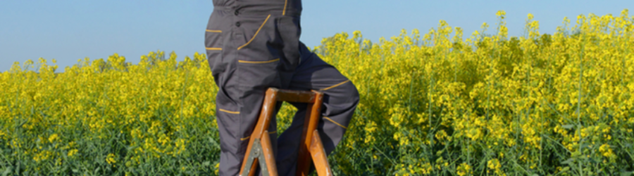 WORLD PHOTO DAY, PICK UP A CAMERA AND SNAP A FEW