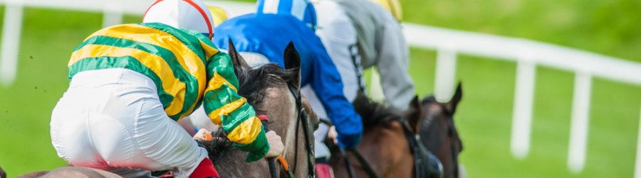 HORSE RACING’S PREAKNESS STAKES