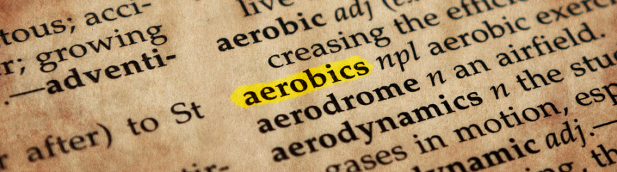 NATIONAL DICTIONARY DAY