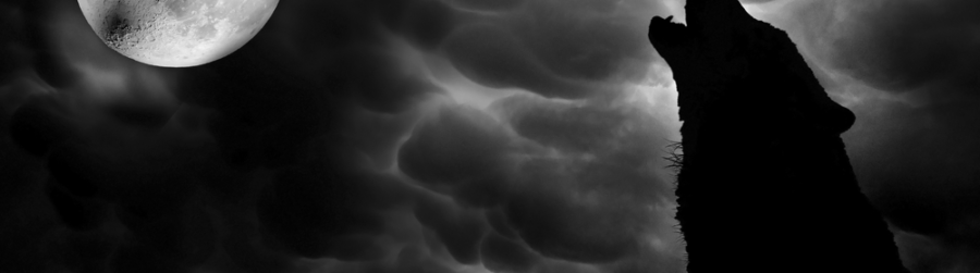 HOWL AT THE MOON DAY AND NIGHT…