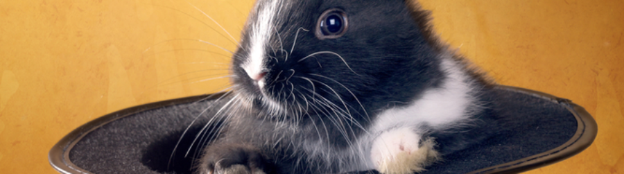 NATIONAL MAGIC DAY, ABRACADABRA…