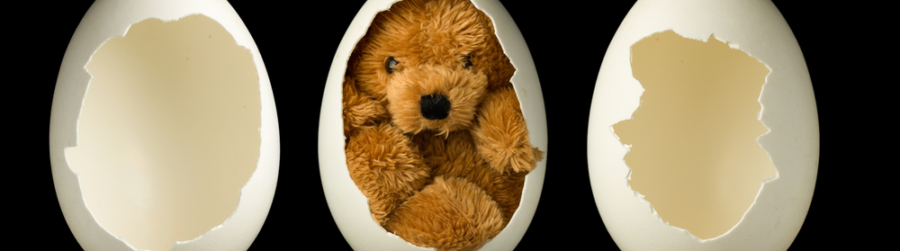 NATIONAL TEDDY BEAR DAY, ANYTHING BUT PICNICS