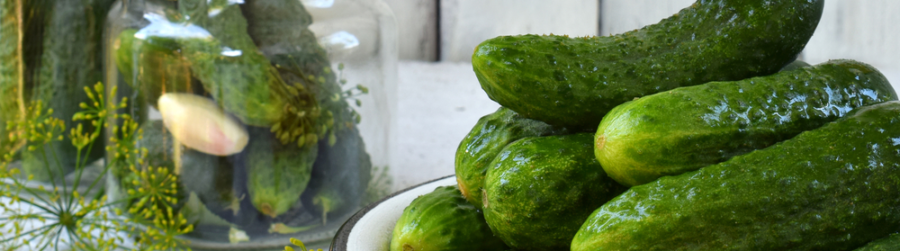 NATIONAL PICKLE DAY, PETER PIPER PICKED A PECK…