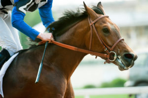 TODAY IS THE BELMONT STAKES