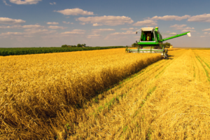 EVERYTHING IS COOL ABOUT THE COLOR GREEN & FARMING TODAY