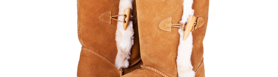 WEAR BROWN SHOES DAY, GET A SHOE SHINE