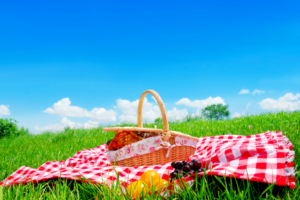 NATIONAL PICNIC DAY