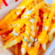 CHEDDAR CHEESE FRIES DAY
